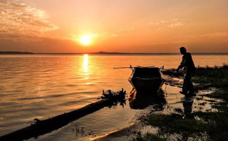 光影瞬间，生活之美 手机摄影作品精选赏析